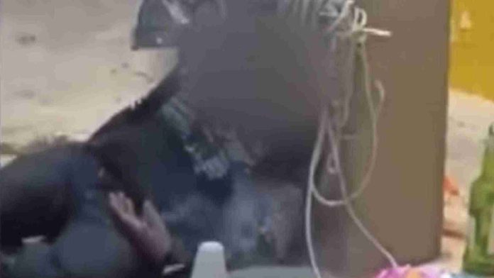 Joven orina y prende pirotecnia a mujer trans en situación de calle en Veracruz