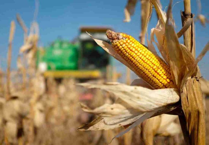Se le debe dar valor agregado al producto agrícola que no llega al mercado