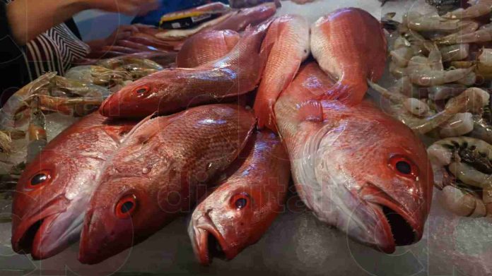 La Cofepris fortalece operativos para inspección de pescados y mariscos
