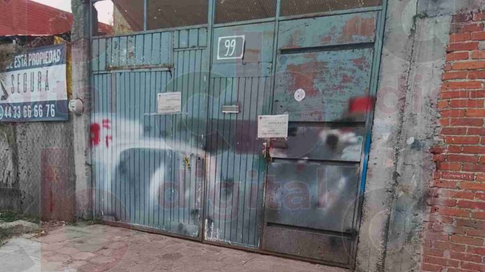 Vecinos de Mariano Escobedo, solicitan urgente atención para cachorros abandonados al borde de morir de inanición