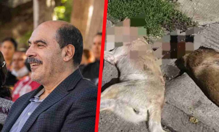 Investiga FGE veracidad de audios del edil de Tangancícuaro