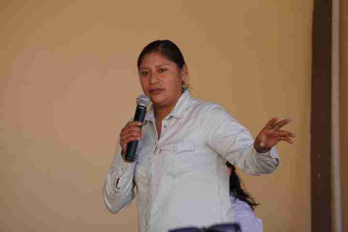 Niegan la realidad: Candidata al Senado por MORENA, asegura que no hay asesinatos de periodistas durante el gobierno de AMLO