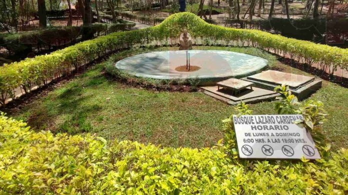 Morelia cuenta con el bosque Lázaro Cárdenas; área de reserva ecológica