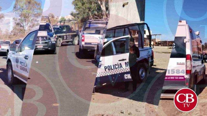 Más de 100 ejecutados en Michoacán, solo en tres semanas