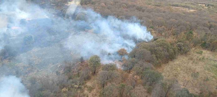 #Video: Por tierra y aire se combate incendio forestal en el cerro del Águila