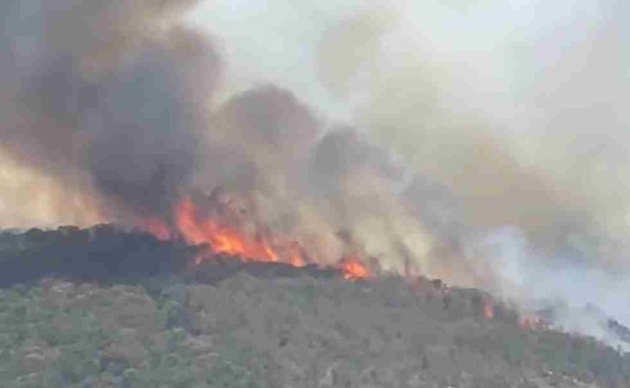 Este jueves se combaten 11 incendios forestales en Michoacán