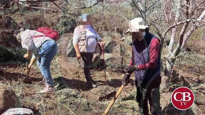 Hallan otros 6 cadáveres en fosas de Jacona