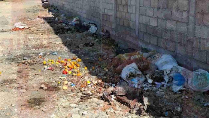 Basurero ilegal de Torreón Nuevo amenaza la salud y bienestar de los colonos