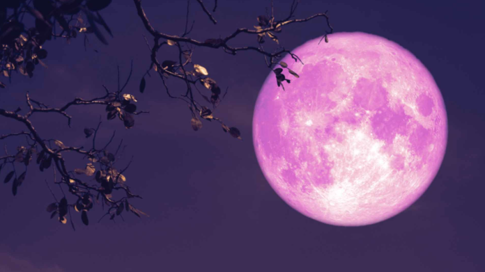 Llega la luna rosa de abril
