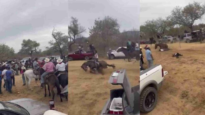Hombre interrumpe carrera de caballos y provoca muerte de jinete