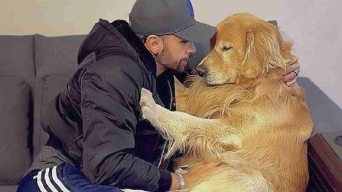 Perrito muere durante vuelo en avión por error de la aerolínea