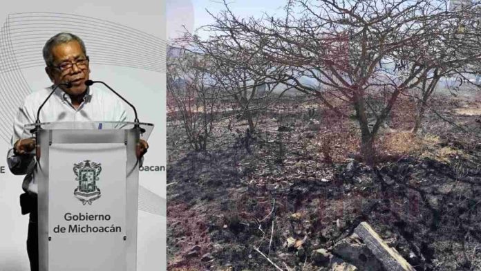 Más de 7 incendios forestales activos en Michoacán; más de 250 en lo que va del año