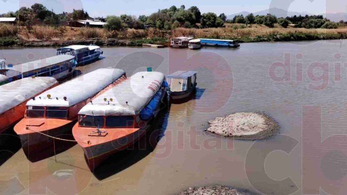 Lancheros piden que federación se sume al rescate del Lago de Pátzcuaro