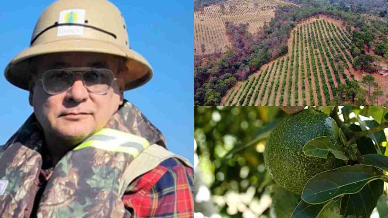 1,250 litros de agua se requieren para un kilo de aguacate y deja profunda huella hídrica, afirma experto 1,250 litros de agua se requieren para un kilo de aguacate y deja profunda huella hídrica, afirma experto