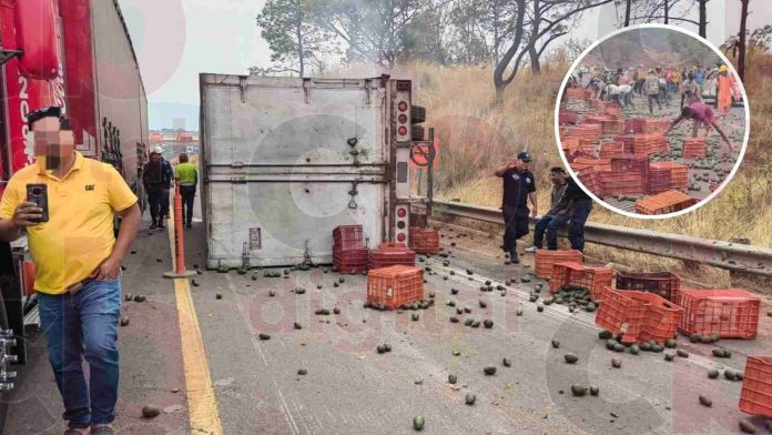 #Video: Vuelca trailer cargado con aguacate en la Siglo XXI