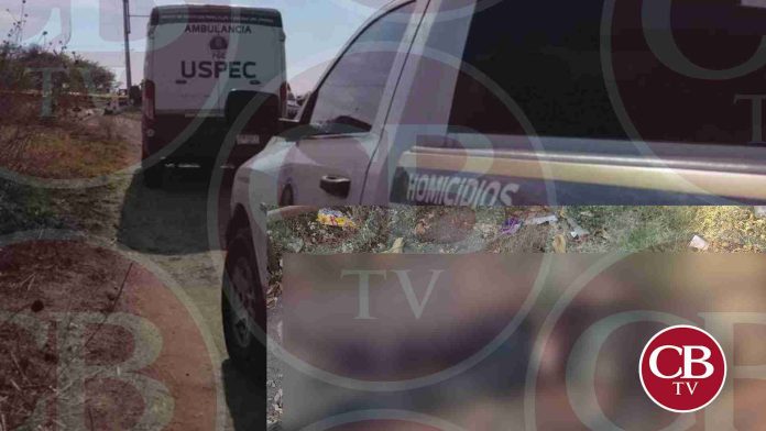 Hallan ejecutado con ropa táctica en Apatzingán