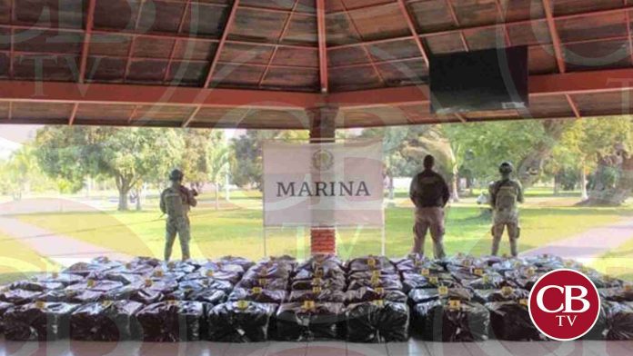 Marinos aseguran 3 toneladas de cocaína en Michoacán