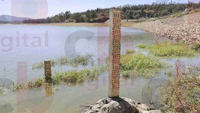 Michoacán pasó de un 50 a un 30 por ciento en sus presas en los últimos 5 años: Especialista agrónomo