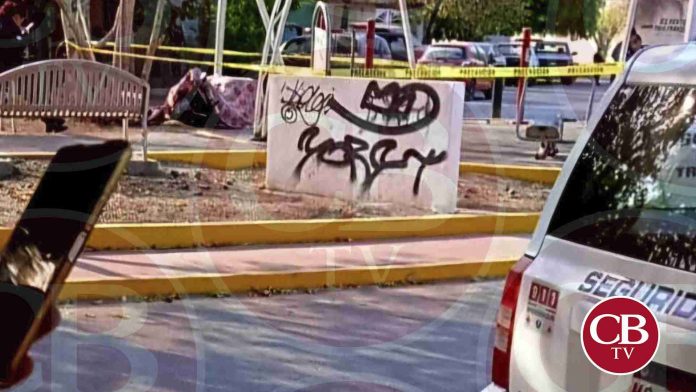 Se mata fémina al chocar su moto con un árbol en Apatzingán