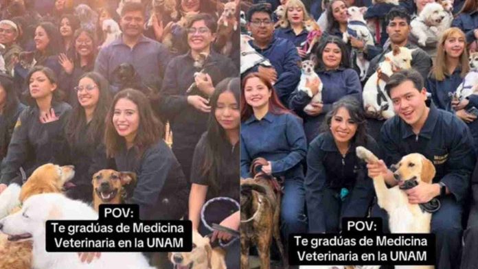 Estudiantes de veterinaria de la UNAM se toman foto de graduación con sus perritos