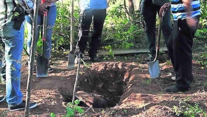 Localizan cinco fosas clandestinas en límites de Oaxaca con Veracruz