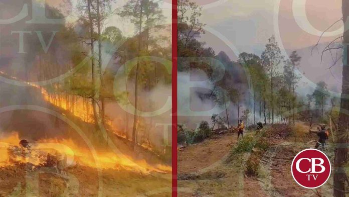 Se quema cerro en Zinapécuaro