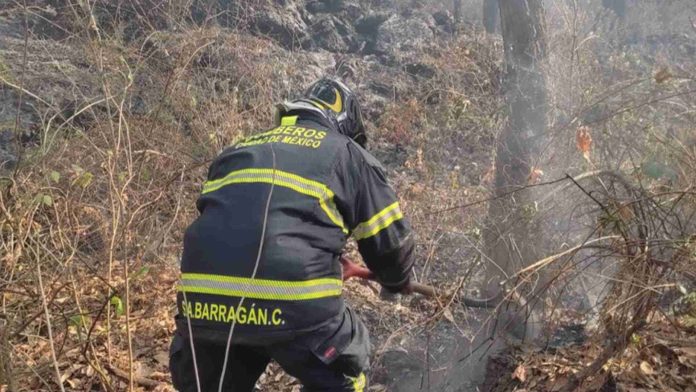 Se registra fuerte incendio en el Bosque de Tlalpan