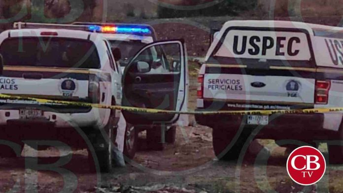 Perros devoraban dos cadáveres ejecutados en Zamora