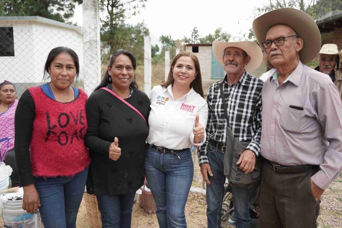 Rosy Salinas Promete Rescate Integral del Sector Ganadero en Zitácuaro