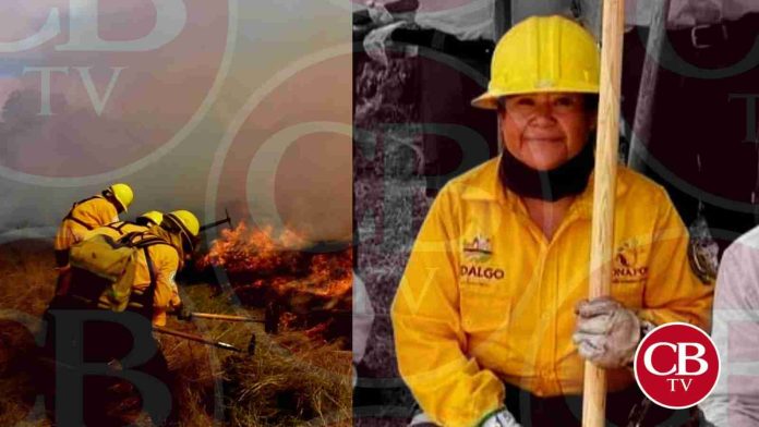 Muere brigadista en el incendio forestal de Tuxpan