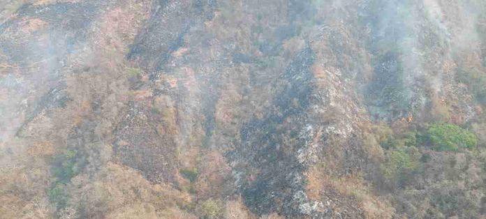 Helicóptero de la SSP atiende incendio en Lázaro Cárdenas