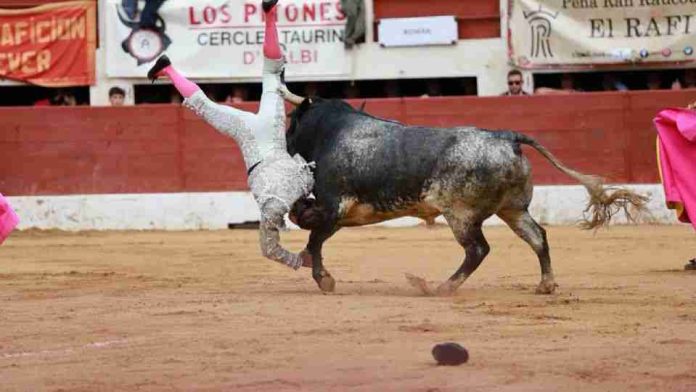 Román Collado, grave tras una cornisa que le atravesó el escroto