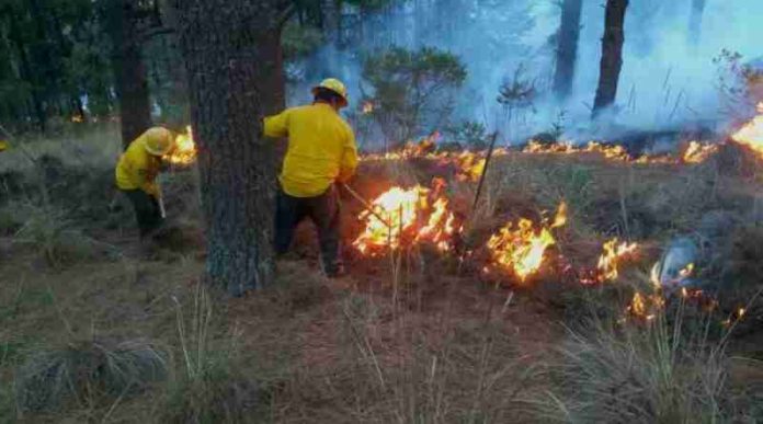 Marina activa plan de auxilio para sofocar incendios en Valle de Bravo