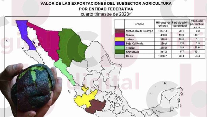 Se cumple una semana sin resolver la suspensión de exportación de aguacate a EUA