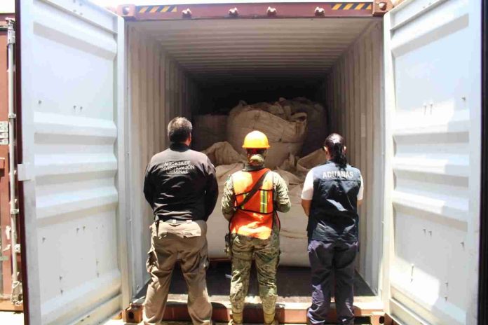Decomisa más de 200 costales con marihuana en LC