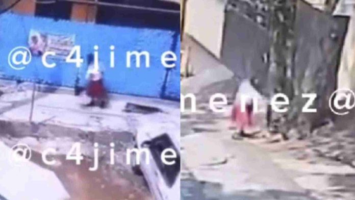 Captan a mujer arrastrando a un perrito muerto en calles de CDMX