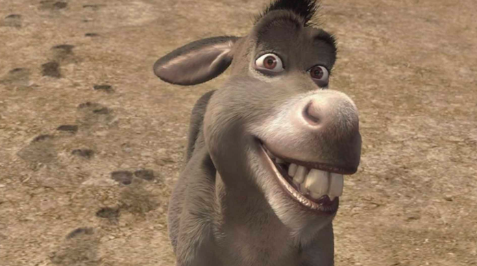 Burro
