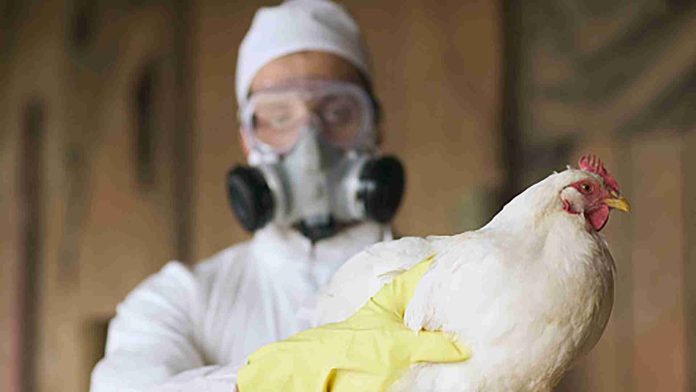 Primer muerte humana por Gripe Aviar en México