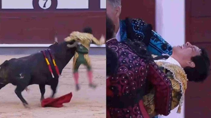 Torero Isaac Fonseca recibe grave cornada 