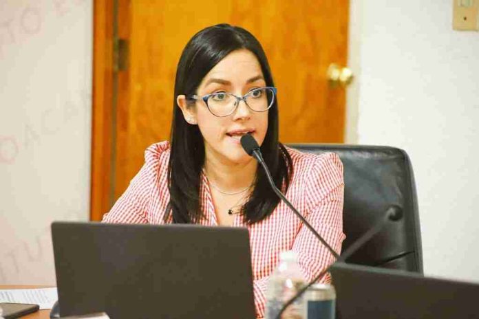 Podrían desaparecer cuatro partidos locales en Michoacán: IEM