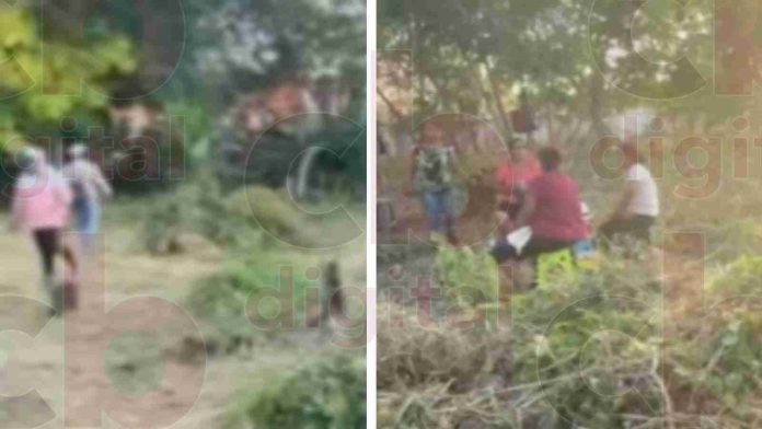 #Video: De forma violenta, se apoderan paracaidistas de terrenos