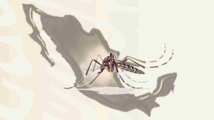 Más de mil casos acumulados de dengue en Michoacán: Secretaría de Salud