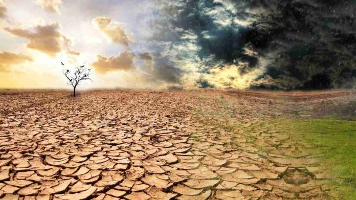 Pone cambio climático en evidencia acciones humanas, afirman expertos