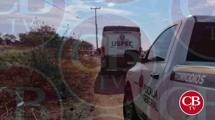 Hallan cuerpo putrefacto en un predio de Zamora