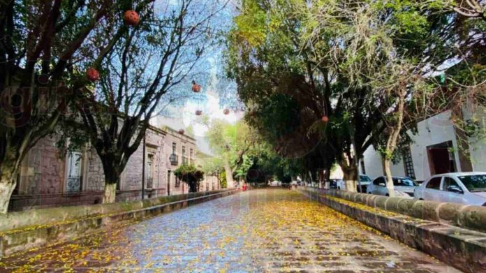 Morelianas reprochan video sexual en Calzada de Morelia; piden más respeto para la ciudad