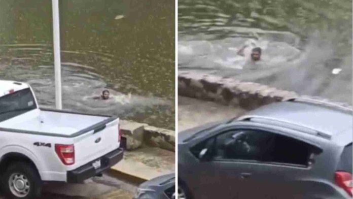 Hombre en estado de ebriedad cae a laguna y es rodeado por cocodrilos