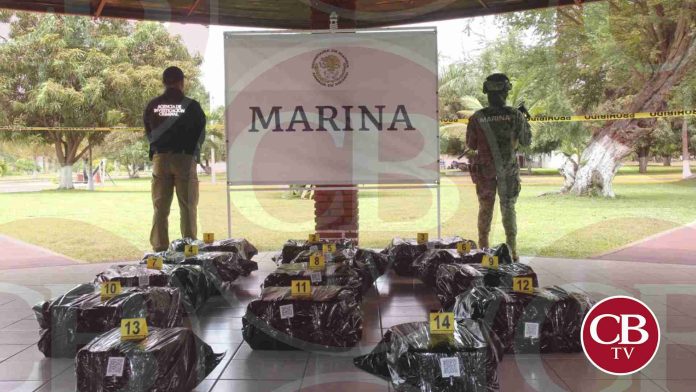 Decomisan media tonelada de clorhidrato cocaína en LC