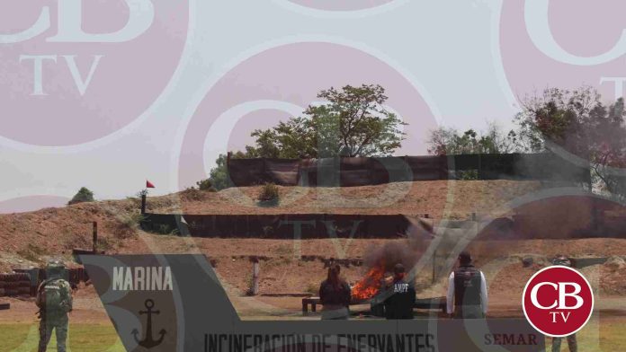 Semar incinera más de 900 ladrillos de cocaína en LC