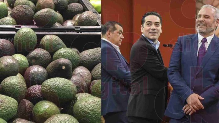 Bedolla en comunicación con embajada de EUA, para resolver tema de exportación de aguacate