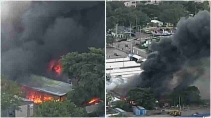 #VIDEO: Evacuan edificio en Miami tras incendio precedido de tiroteo; hay un herido grave